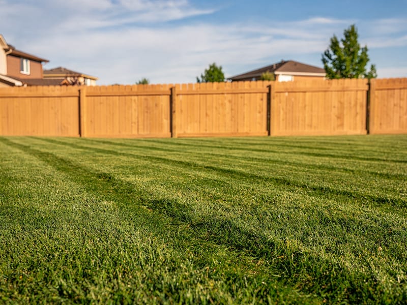 Lawn Mowing & Maintenance
